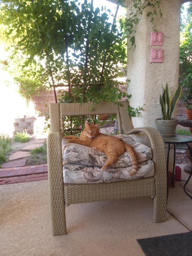 Catmosphere Las Vegas Buitenkant foto
